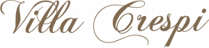 VC_logo_type