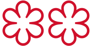 2stellamichelinlogo-300x150