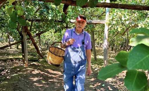 Iaccarino bio 2