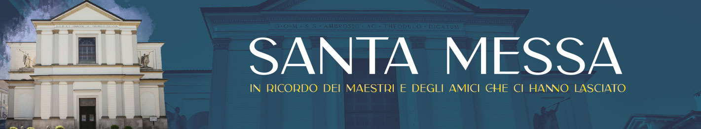 Allegato 11